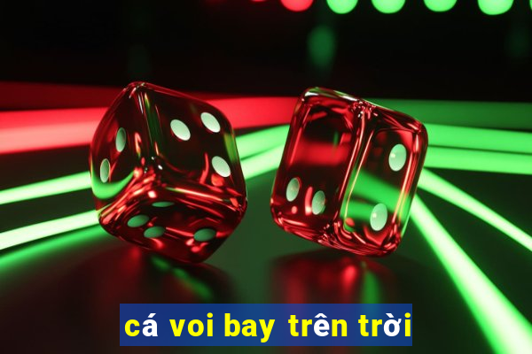 cá voi bay trên trời