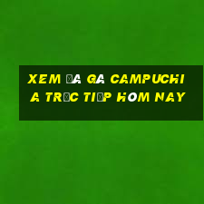 xem đá gà campuchia trực tiếp hôm nay