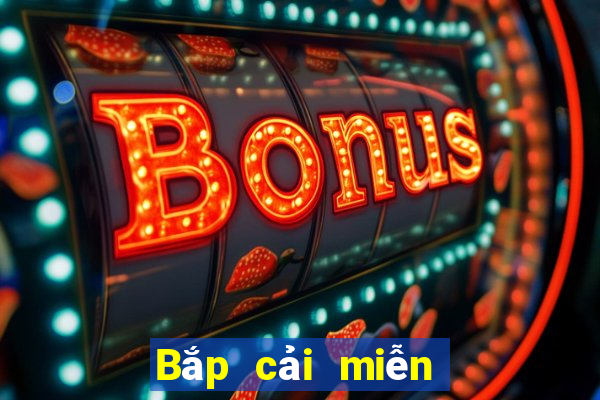 Bắp cải miễn phí Net