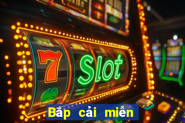 Bắp cải miễn phí Net