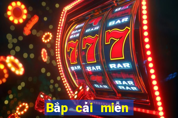 Bắp cải miễn phí Net