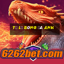 tỷ lệ bóng đá anh