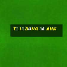 tỷ lệ bóng đá anh