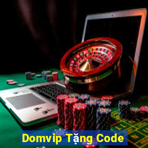 Domvip Tặng Code