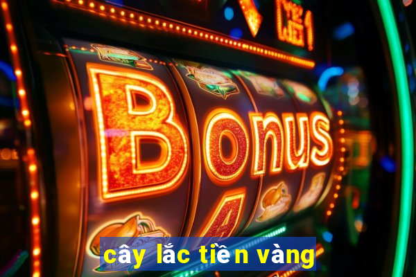 cây lắc tiền vàng