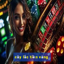 cây lắc tiền vàng