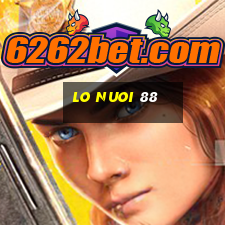 lo nuoi 88