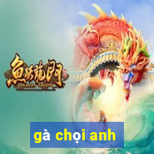 gà chọi anh