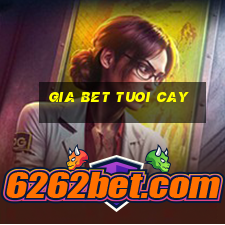 gia bet tuoi cay