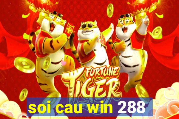 soi cau win 288