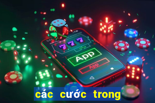 các cước trong chắn sân đình