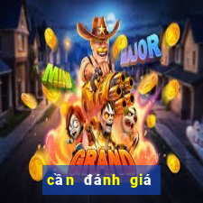 cần đánh giá gì với crush