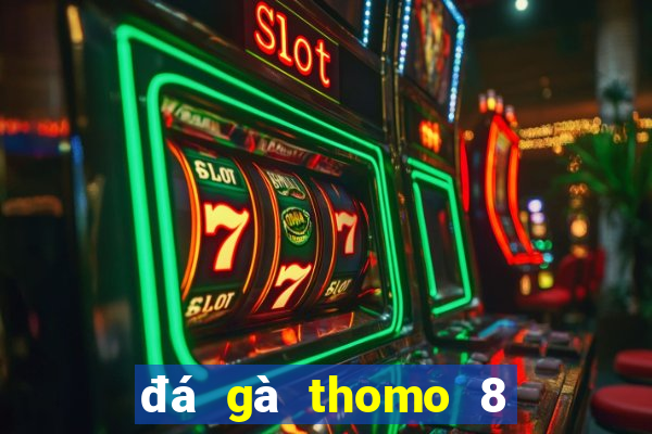 đá gà thomo 8 4 2024