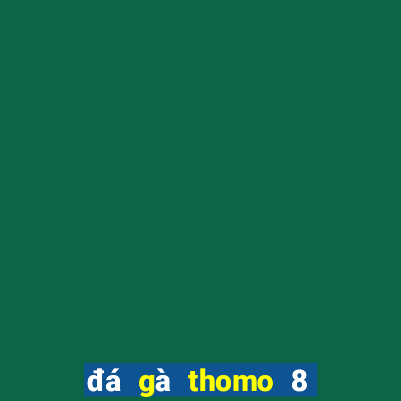 đá gà thomo 8 4 2024