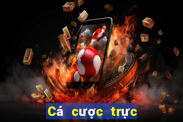 Cá cược trực tuyến vao88