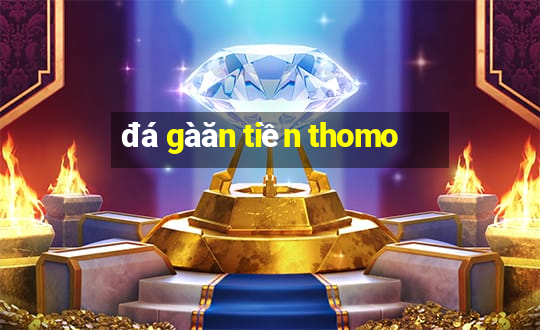 đá gà ăn tiền thomo