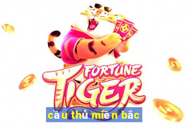 cầu thủ miền bắc