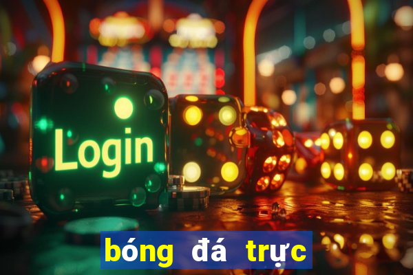 bóng đá trực tiếp nhà kèo cái