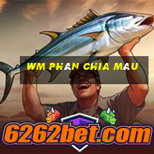 wm phân chia màu