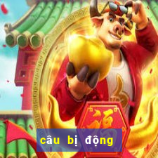 câu bị động đặc biệt