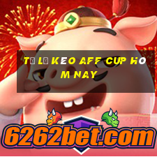 tỷ lệ kèo aff cup hôm nay