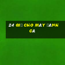 24 giờ cho máy đánh cá