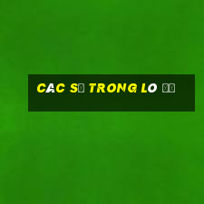 các số trong lô đề