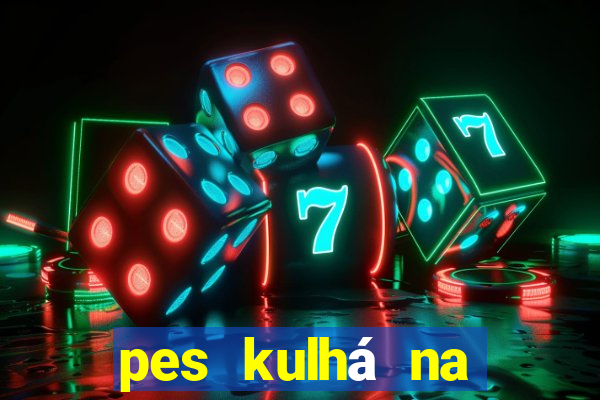 pes kulhá na přední nohu