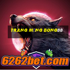 trang mạng bong88