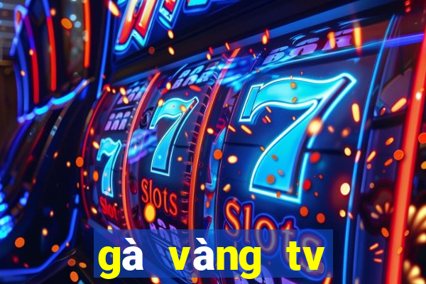 gà vàng tv trực tiếp bóng đá hôm nay