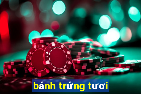 bánh trứng tươi