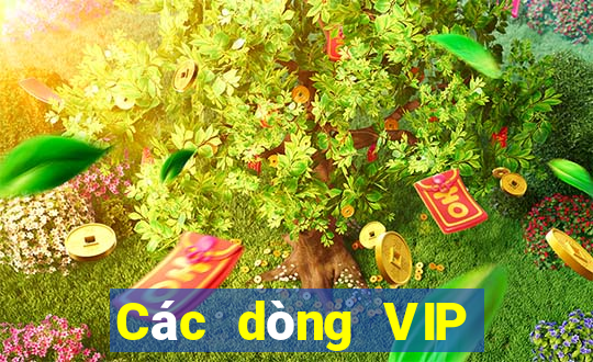 Các dòng VIP hàng đầu