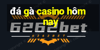 đá gà casino hôm nay