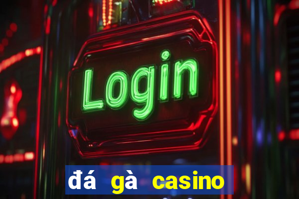 đá gà casino hôm nay