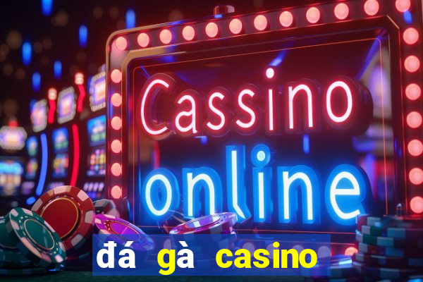 đá gà casino hôm nay