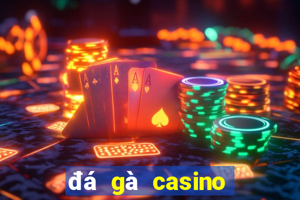 đá gà casino hôm nay