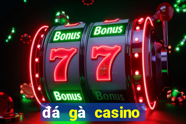 đá gà casino hôm nay