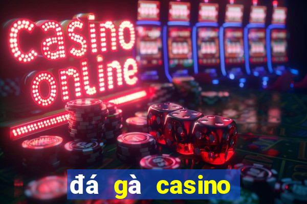 đá gà casino hôm nay