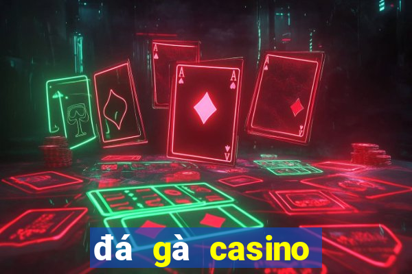 đá gà casino hôm nay