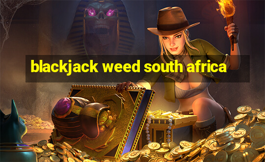 blackjack weed south africa