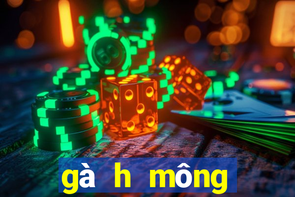 gà h mông thuần chủng