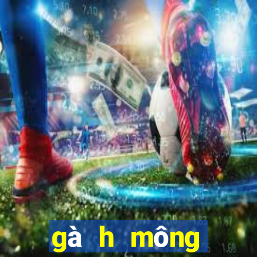 gà h mông thuần chủng