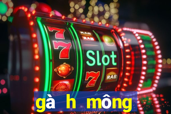 gà h mông thuần chủng