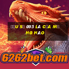 đầu số 093 là của mạng nào