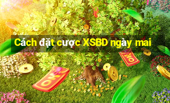 Cách đặt cược XSBD ngày mai