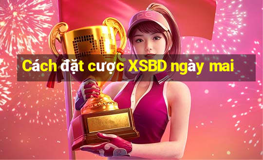 Cách đặt cược XSBD ngày mai