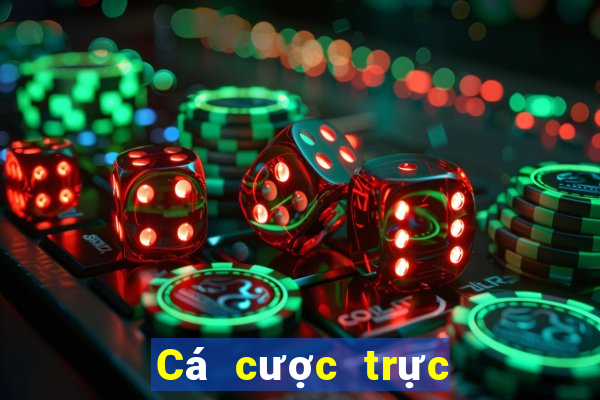 Cá cược trực tuyến V6bet