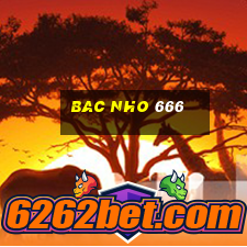 bac nho 666