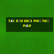 tài xỉu chơi như thế nào