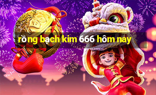 rong bach kim 666 hom nay